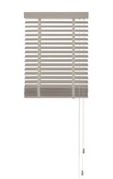 Basswood Standard 50mm, Royal Clay