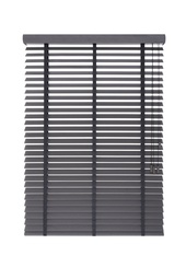 Basswood Standard 50mm, Asgrijs