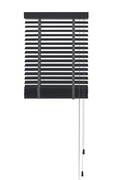 Basswood Standard 35mm, Antraciet